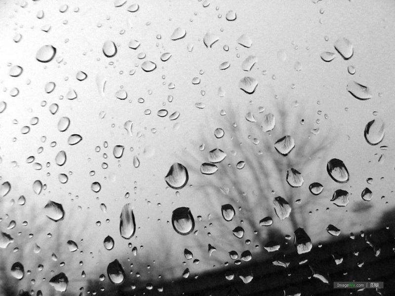 雨下过了的夜.jpg
