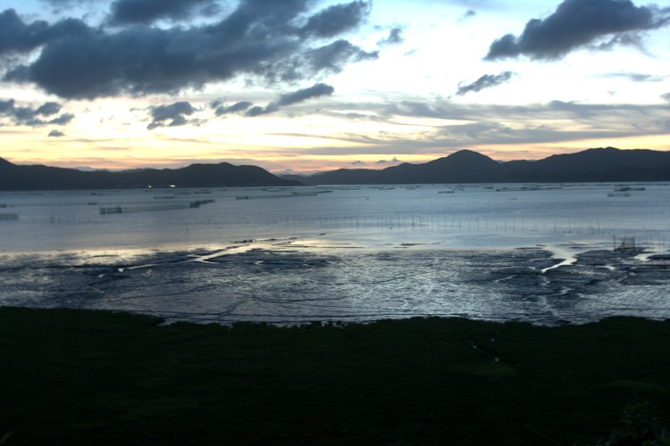 IMGP3084.jpg