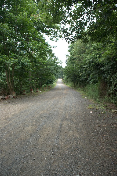 IMGP3277.jpg