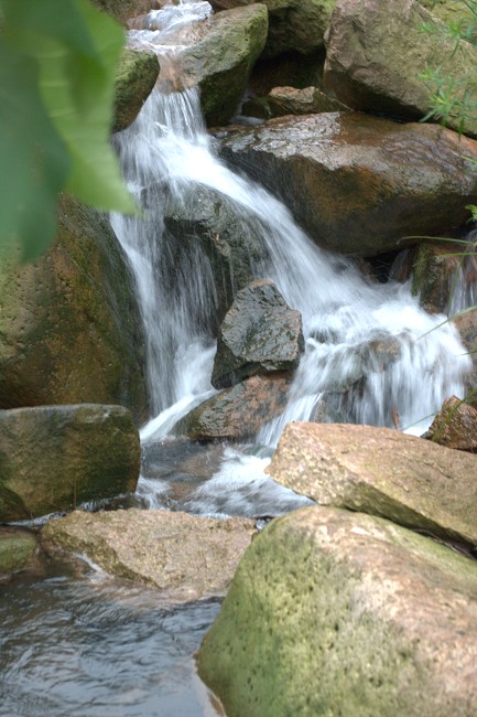 IMGP3516.jpg