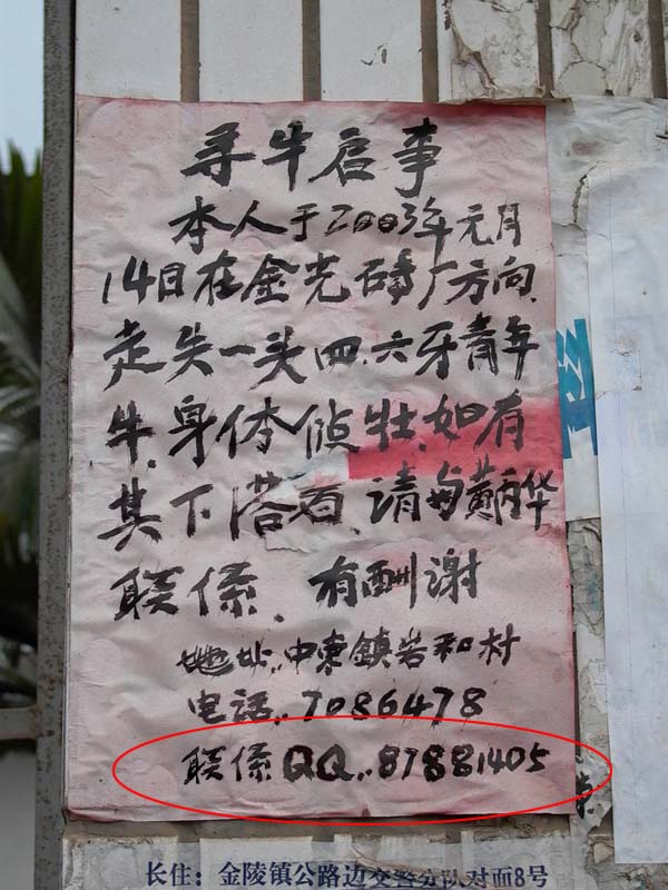 寻牛启示