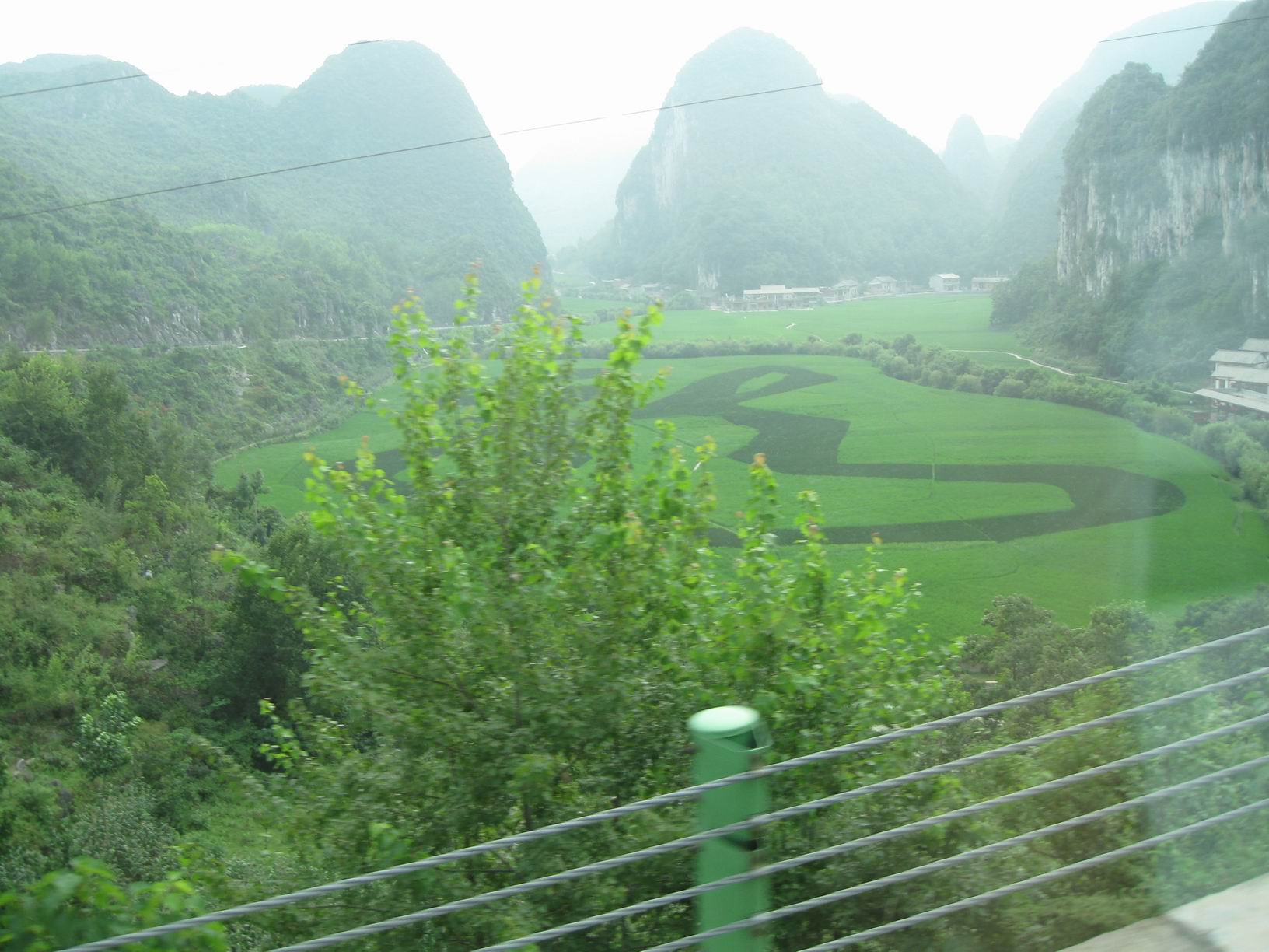 龙.jpg
