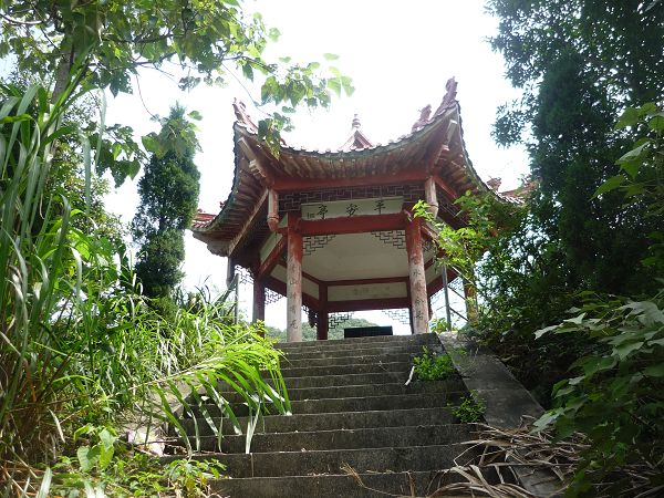P1060521.JPG