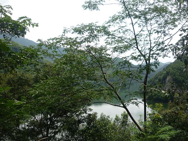 水库顶景色