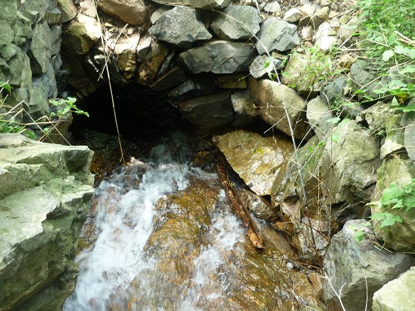 P1060534.JPG