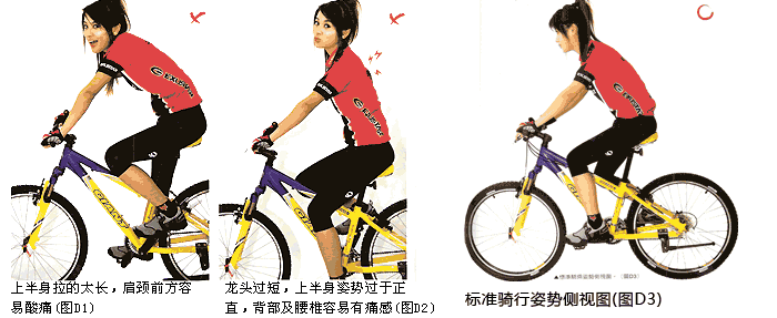 4.gif