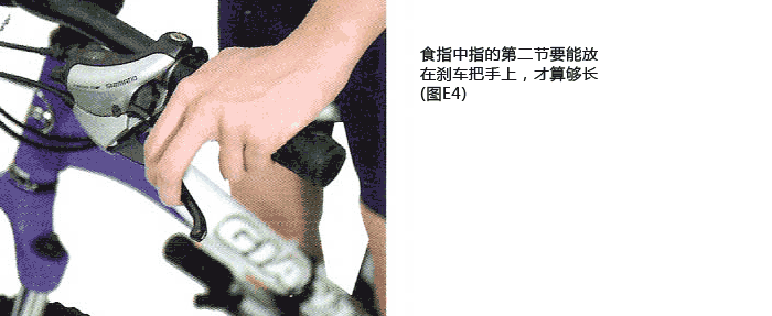 6.gif