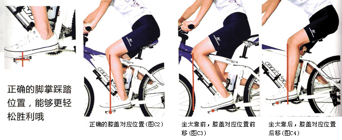 3.gif