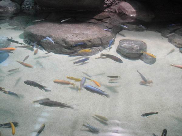 DSC00656.jpg