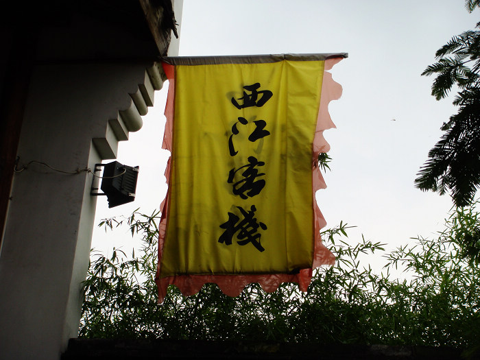 DSC02423.jpg