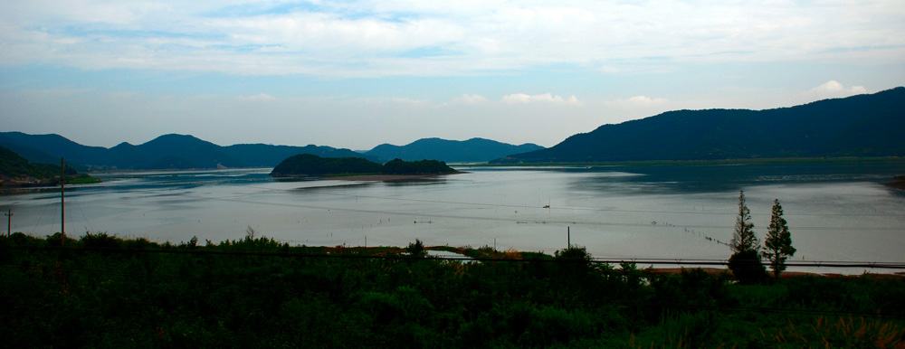 DSC_0183.jpg