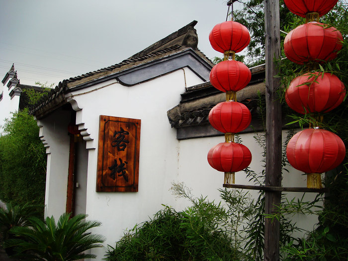 DSC02428.jpg