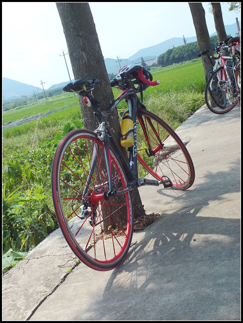 FILE0081.jpg