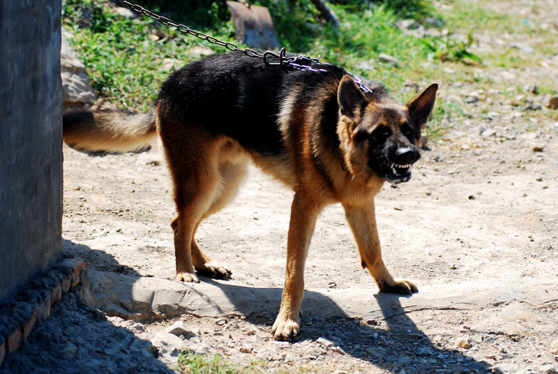 DSC_0644.jpg