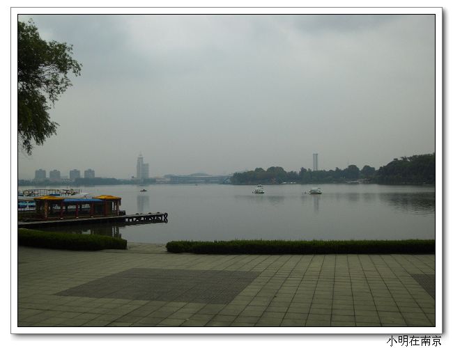 SDC12087.jpg