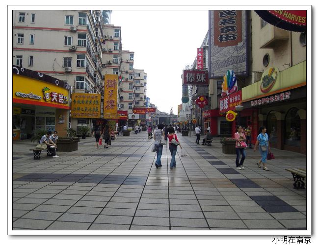 SDC12080.jpg