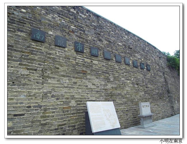 SDC12096.jpg