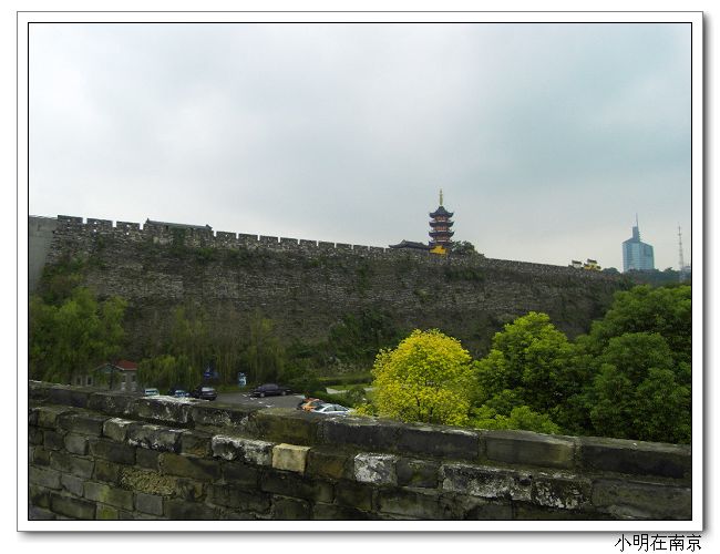 SDC12102.jpg