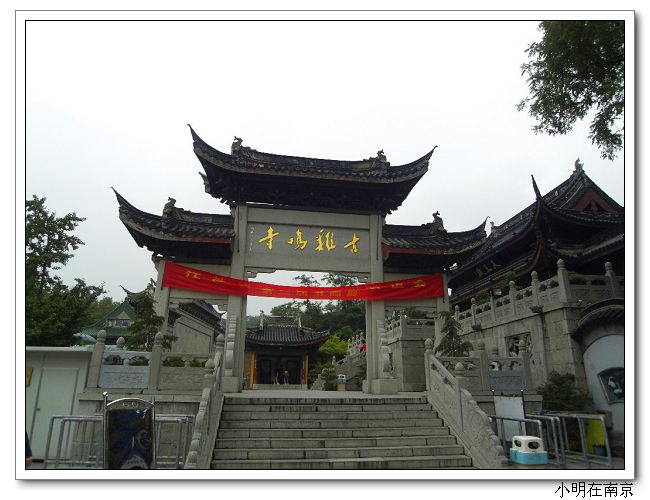SDC12146.jpg