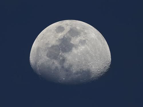 8013373_7.jpg