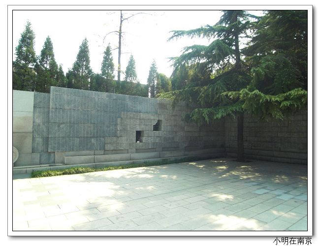 SDC12176.jpg