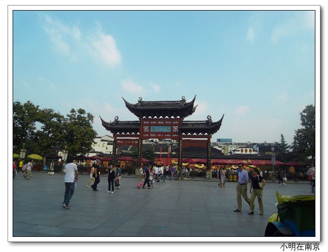 SDC12203.jpg