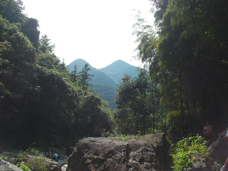 FILE0081.jpg