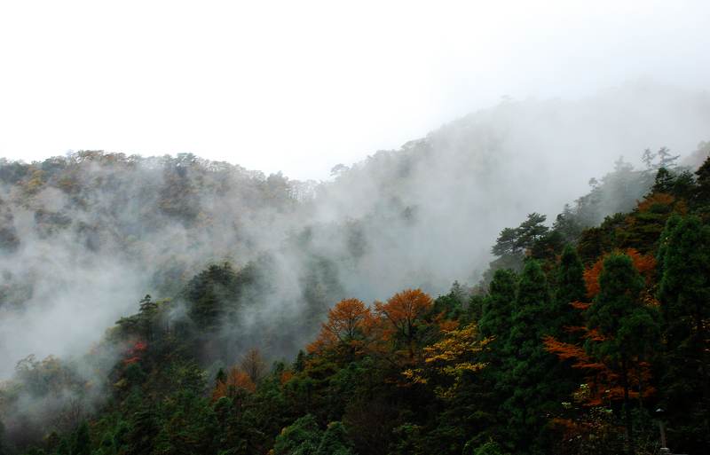 2009090913010937385.jpg
