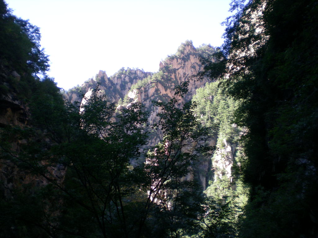 DSCN4085.JPG