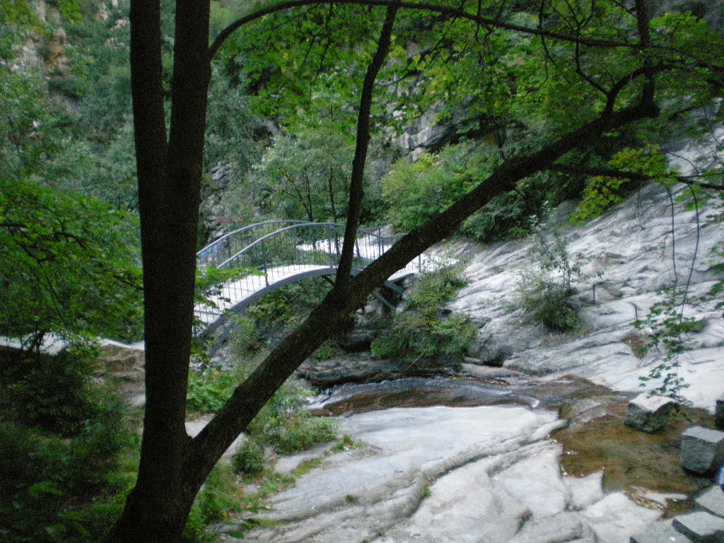 DSCN4083.JPG