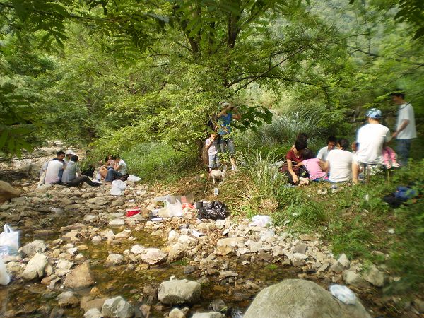 饭后开了2个场 一边玩游戏 一边斗小牛