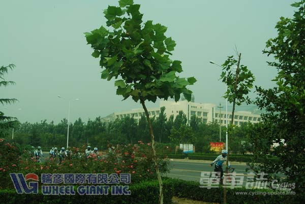 0916_Q13.jpg