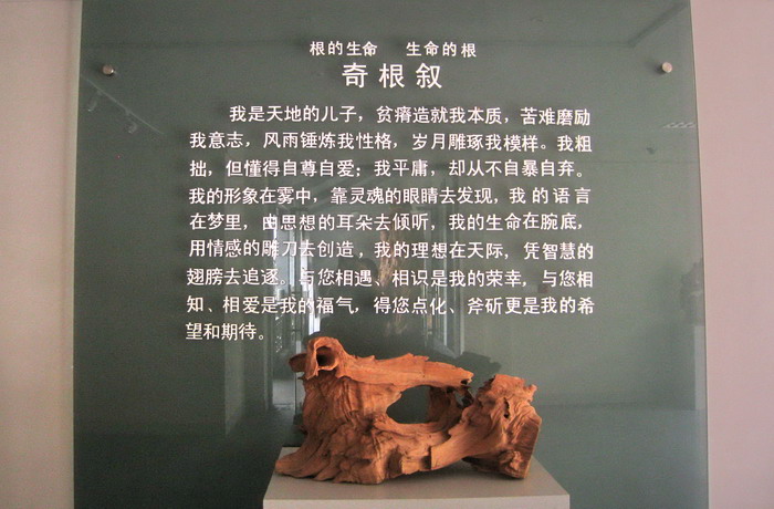 奇根叙