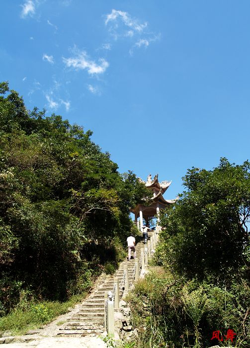 P1011642.jpg