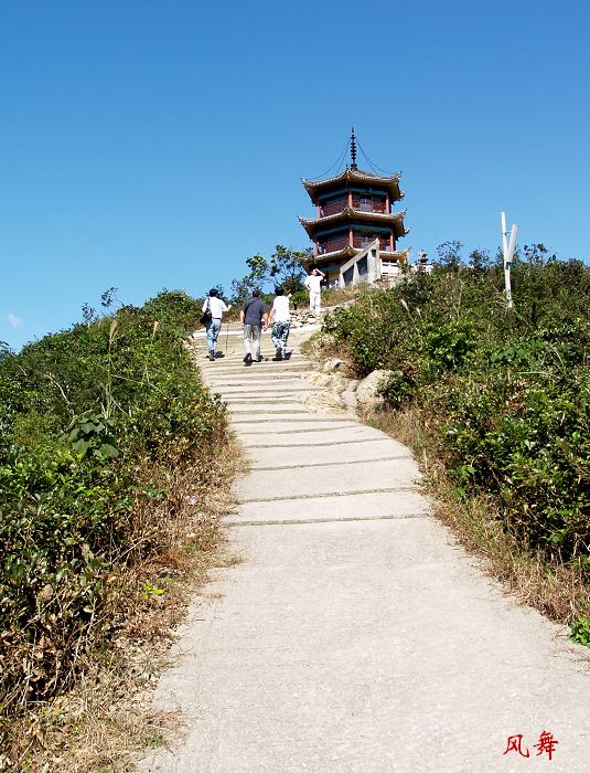 P1011664.jpg