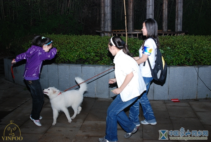 091005乡网烧烤167.JPG