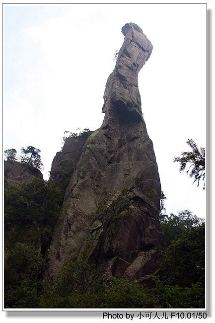 IMG_4416巨莽出山--1.jpg