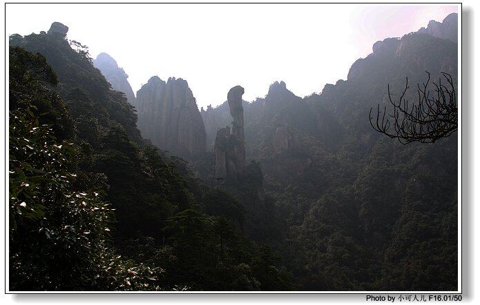 顶部扁平，颈部稍细，最细处直径约7米，形似一硕大巨莽蛇破山而出，直欲腾空而起。