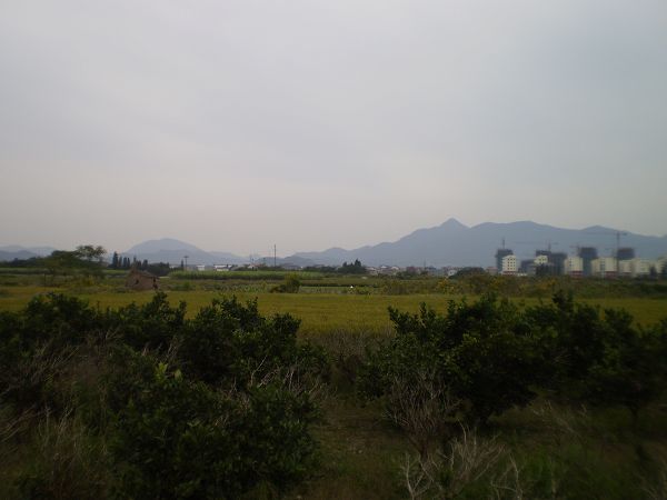 路边景色