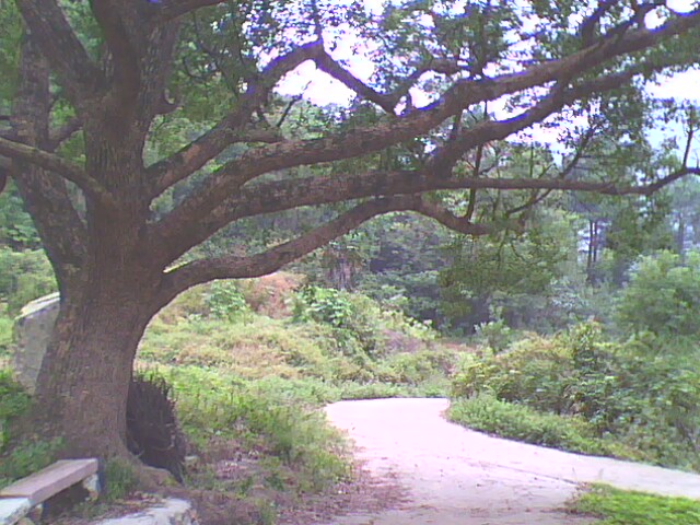 IMG0034A.jpg