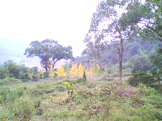 IMG0031A.jpg