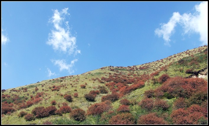 09.jpg