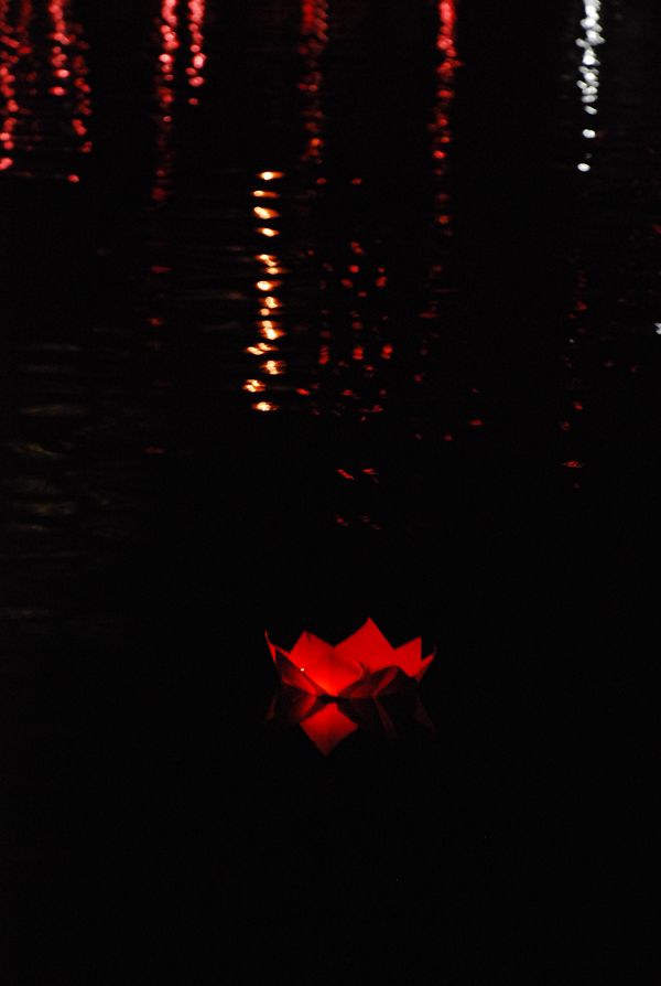 浮现着的美丽