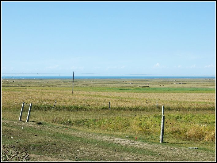 DSCF9921.jpg