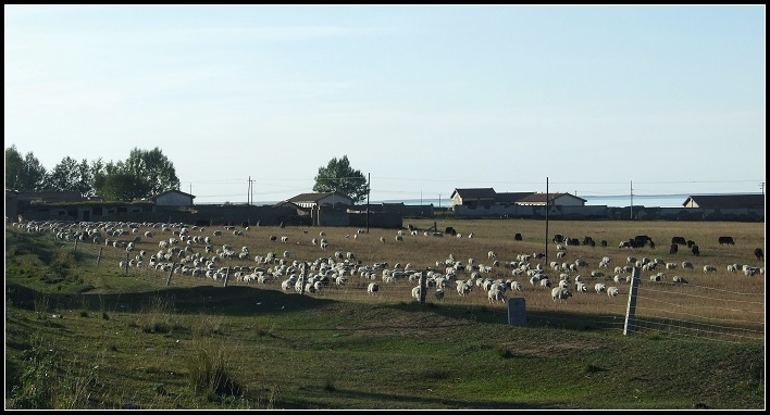 DSCF9957.jpg