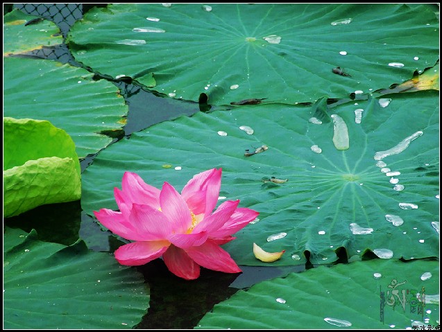 2009·8·2 181.jpg