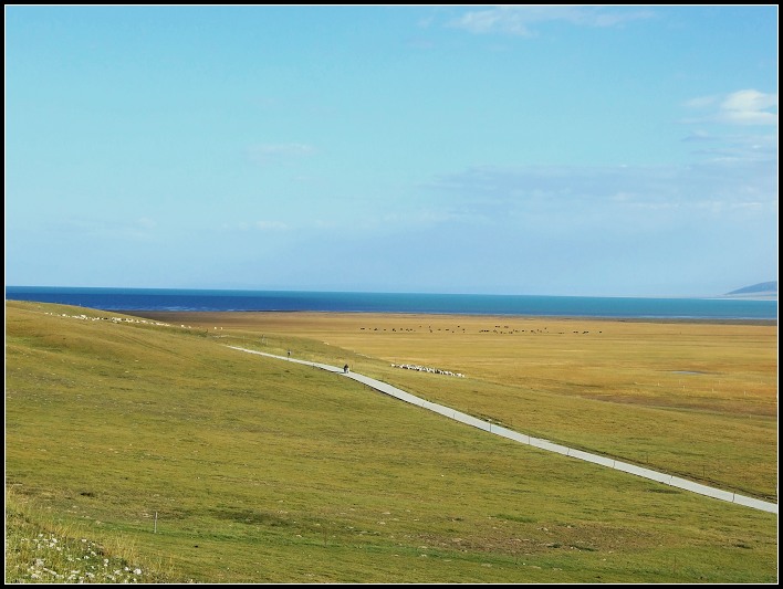 DSCF0124.jpg