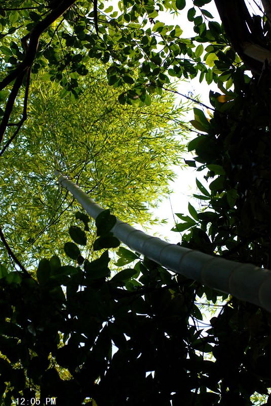 DSC_0666.jpg