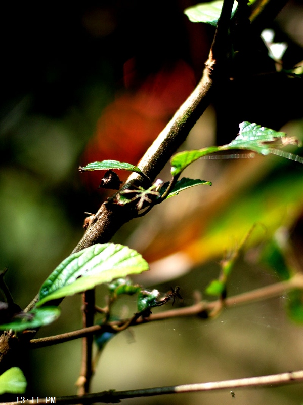 DSC_0689.jpg