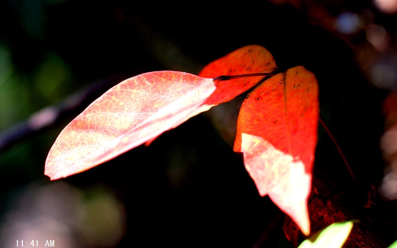 DSC_0664.jpg